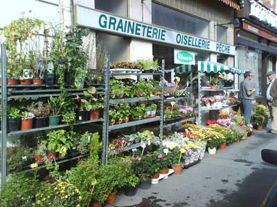 Graineterie BOGARG