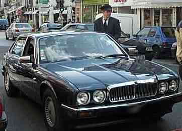 jaguar