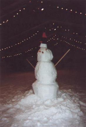 bonhomme de neige