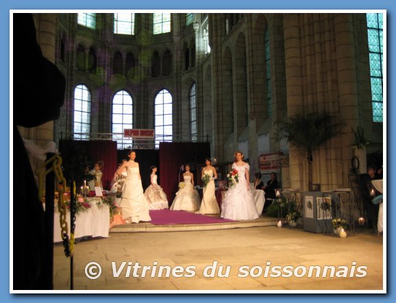 salmar08_31